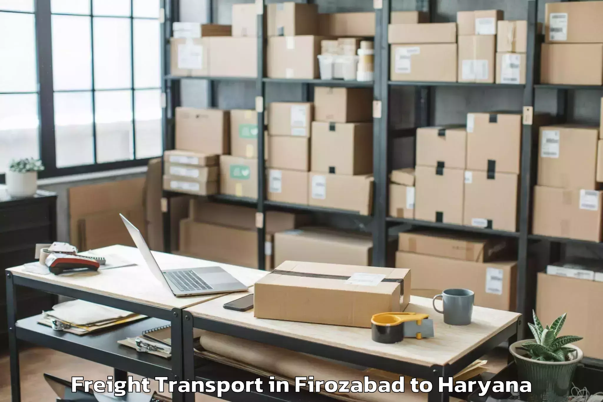 Top Firozabad to Tdi Mall Sonipat Freight Transport Available